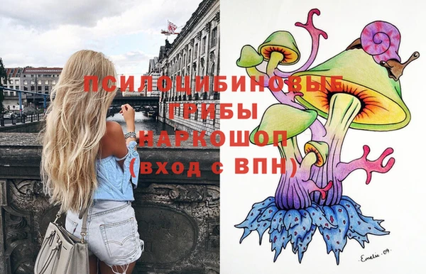 твердый Армянск